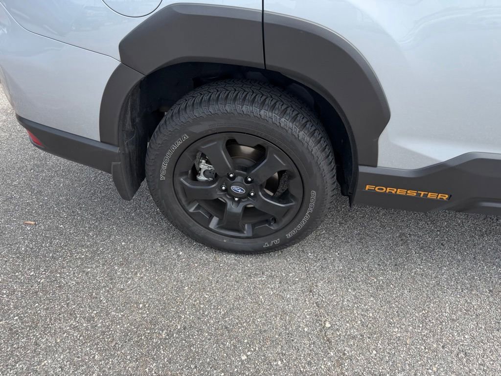 Used 2024 Subaru Forester Wilderness AWD/4WD image 5