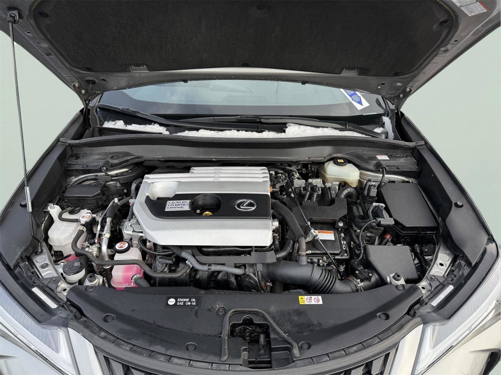 Used 2021 Lexus UX 250h 250h w/ Premium Package image 30