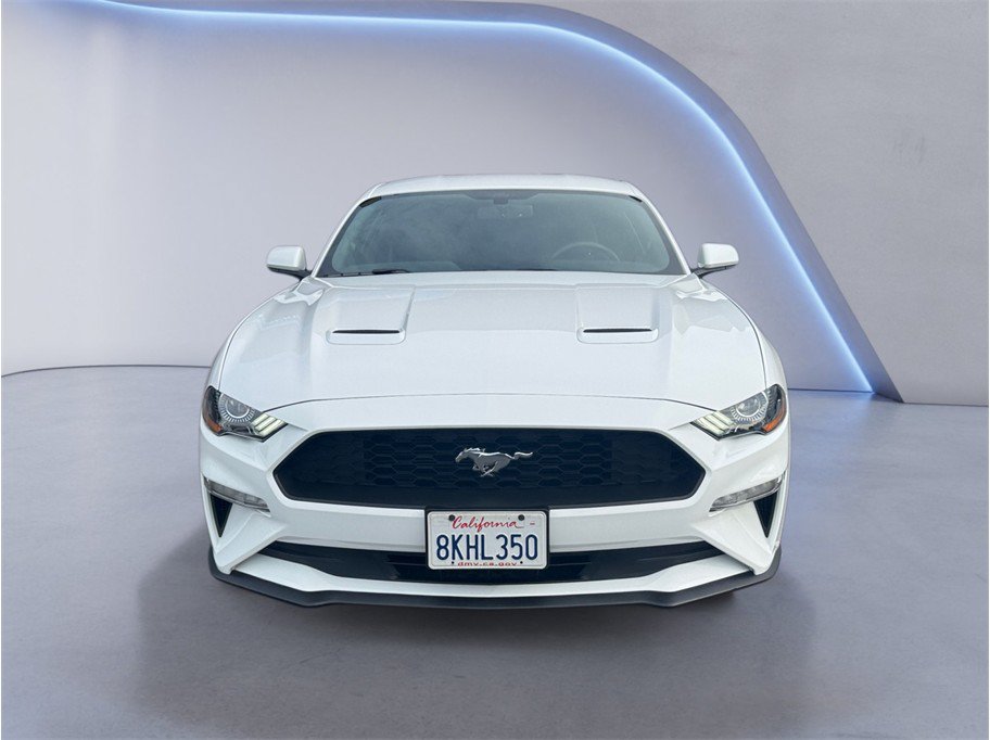 Used 2019 Ford Mustang Coupe RWD image 2