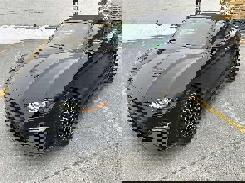 Used 2018 Ford Mustang Premium image 7