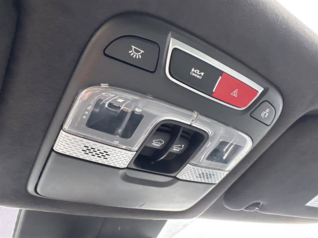 Used 2023 Kia Telluride SX Prestige X-Pro image 19