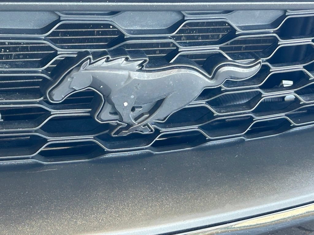 Used 2019 Ford Mustang Premium w/ Ecoboost Performance Package RWD image 18