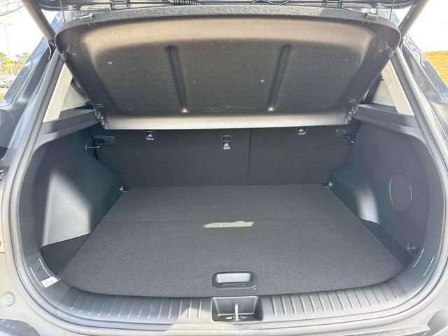 New 2026 Kia Seltos SX image 9