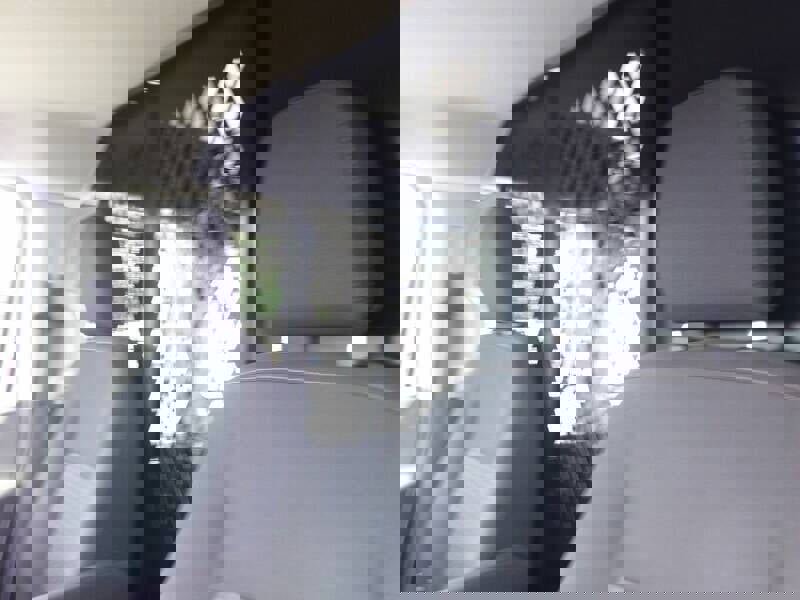 Used 2024 Ford Transit 250 Low Roof w/ Exterior Upgrade Package image 14