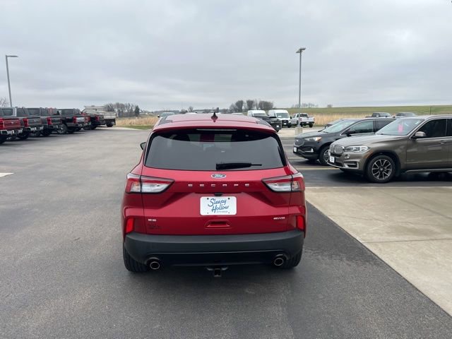 Used 2022 Ford Escape SE w/ SE Sport Appearance Package image 6