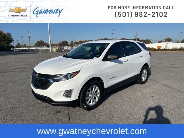 Used 2019 Chevrolet Equinox LS image 1