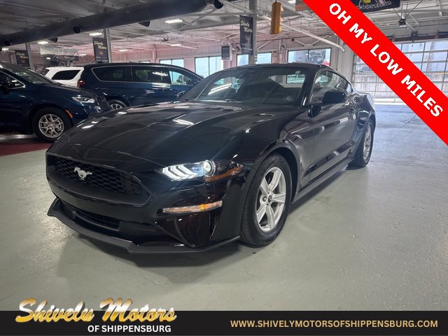Used 2022 Ford Mustang EcoBoost image 1