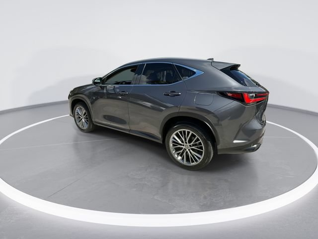 Certified 2023 Lexus NX 350h AWD image 5