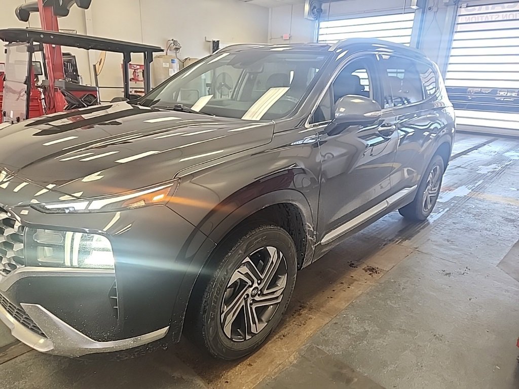 Used 2023 Hyundai Santa Fe SEL w/ Premium Package image 2
