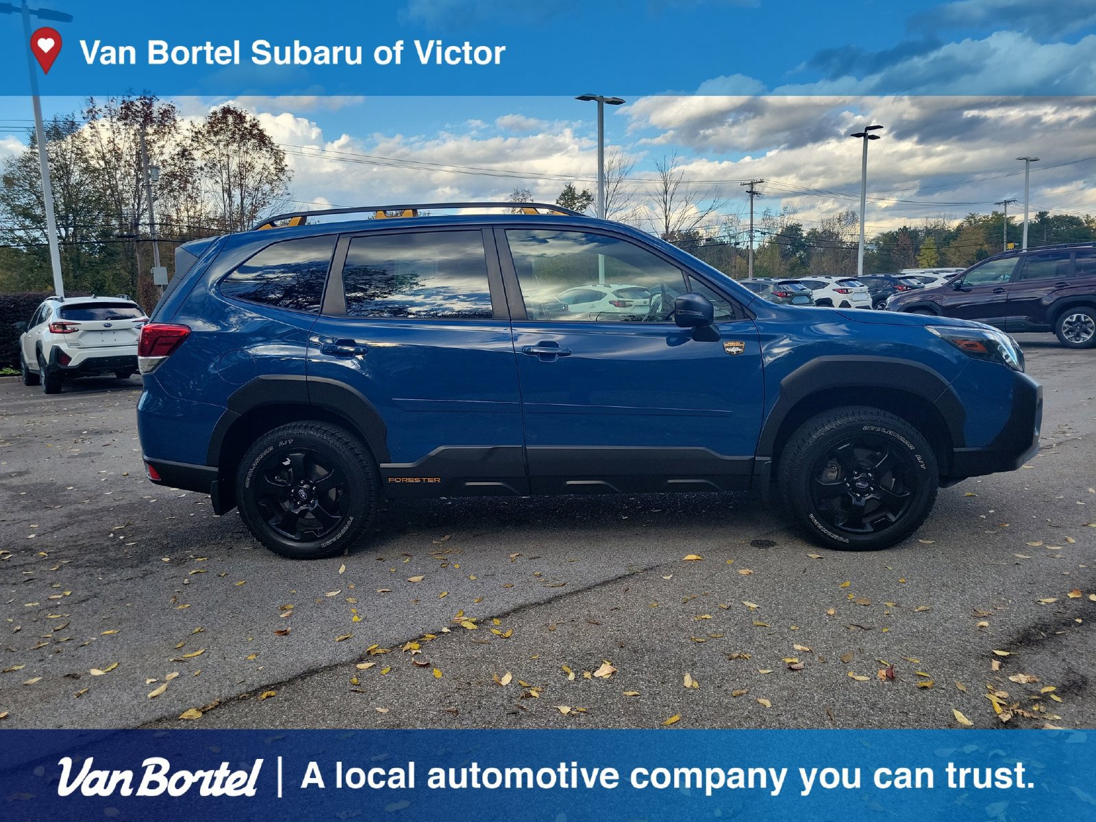 Used 2022 Subaru Forester Wilderness AWD/4WD image 6