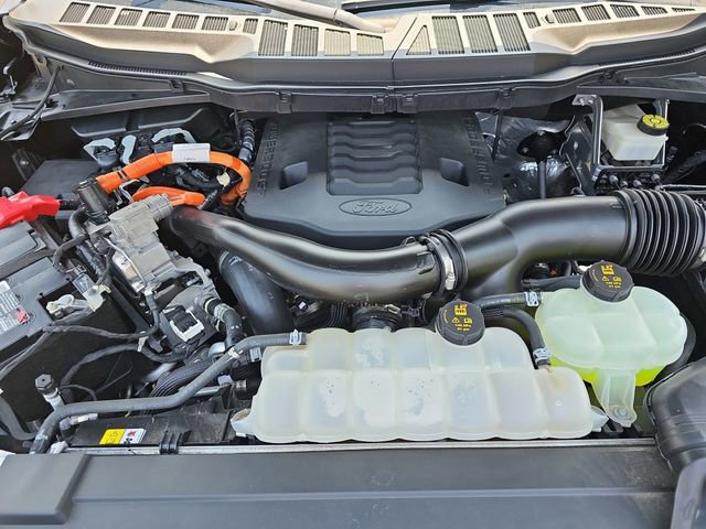 Used 2021 Ford F150 XLT w/ Equipment Group 302A High AWD/4WD image 32