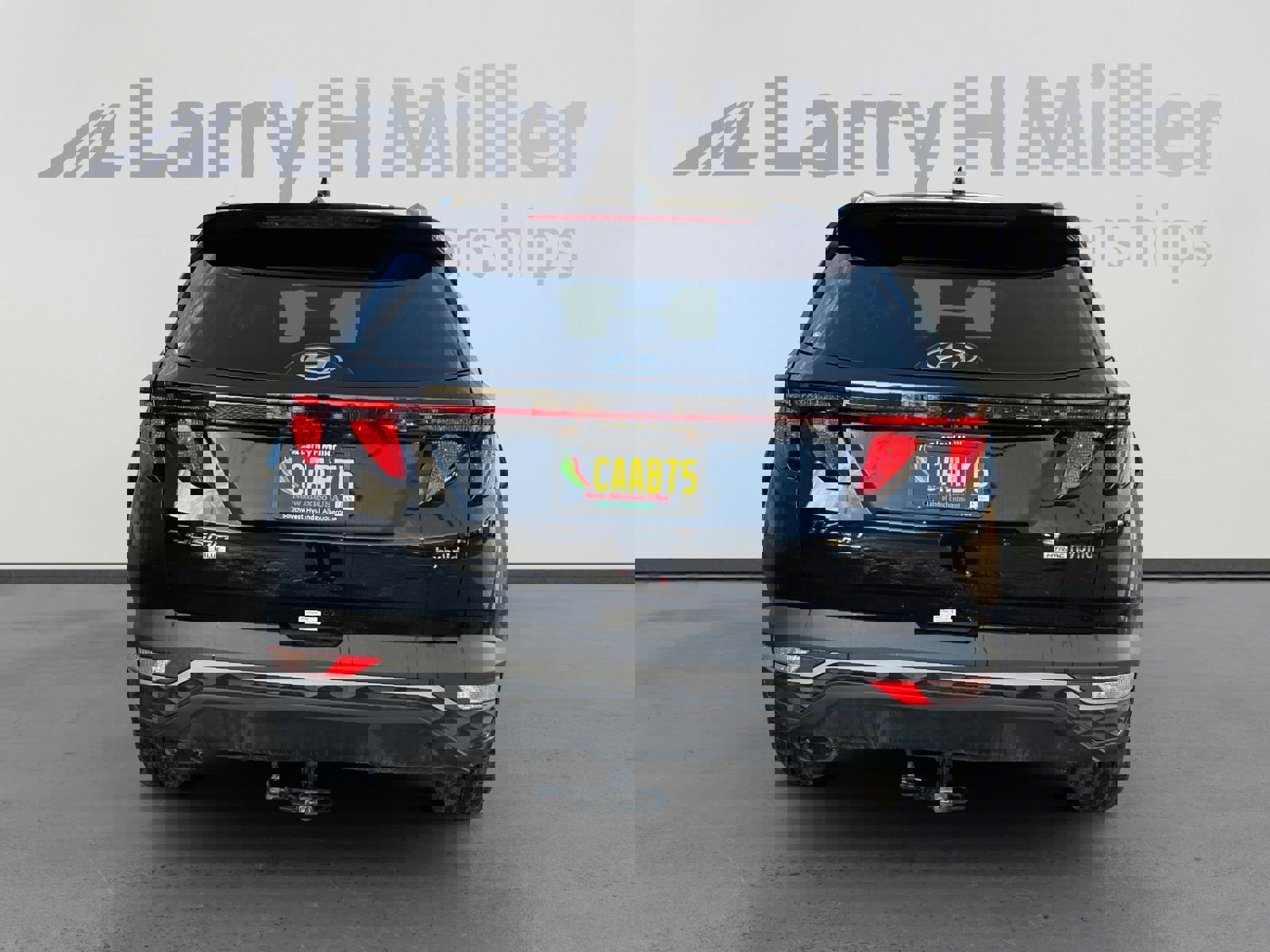 Used 2024 Hyundai Tucson Blue image 5