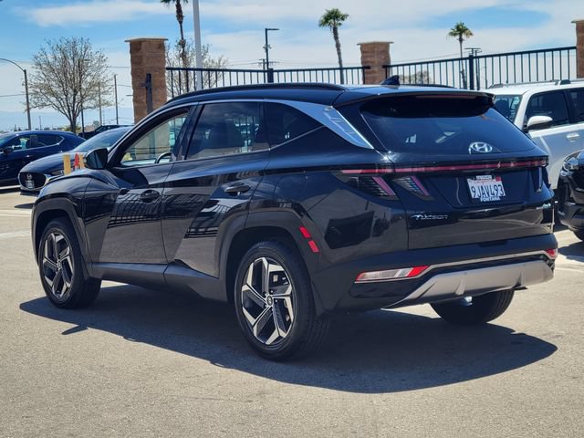 Used 2023 Hyundai Tucson Limited AWD/4WD image 3