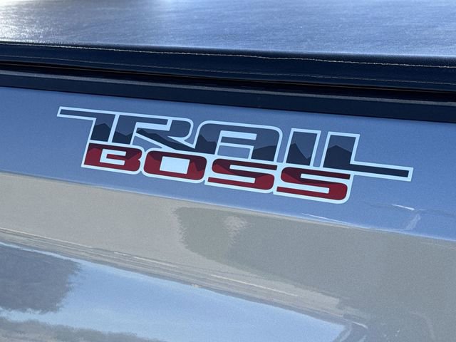 Used 2025 Chevrolet Silverado 1500 Custom Trail Boss w/ Turbomax Blackout Package image 14