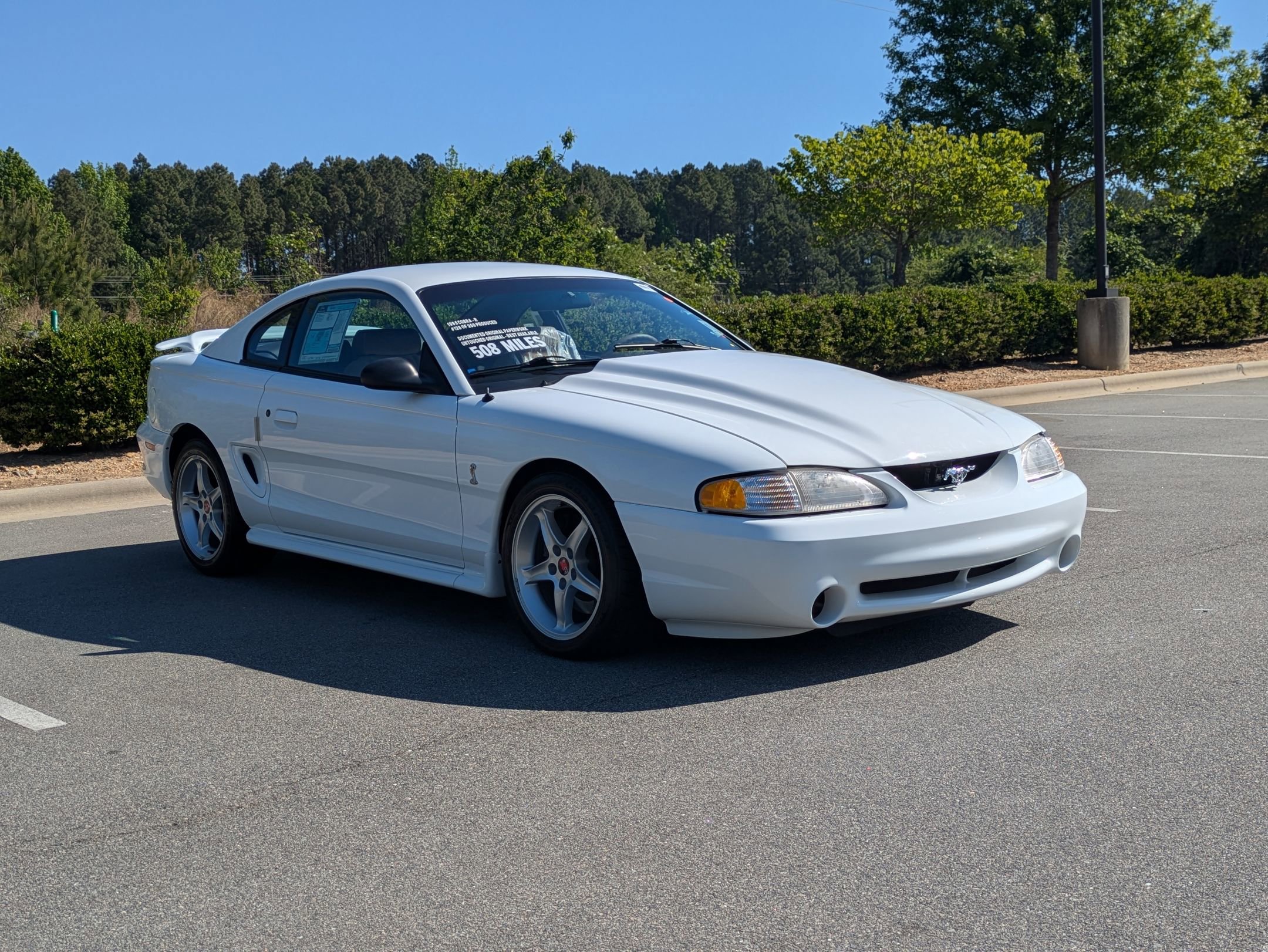 Used 1995 Ford Mustang Cobra R image 2