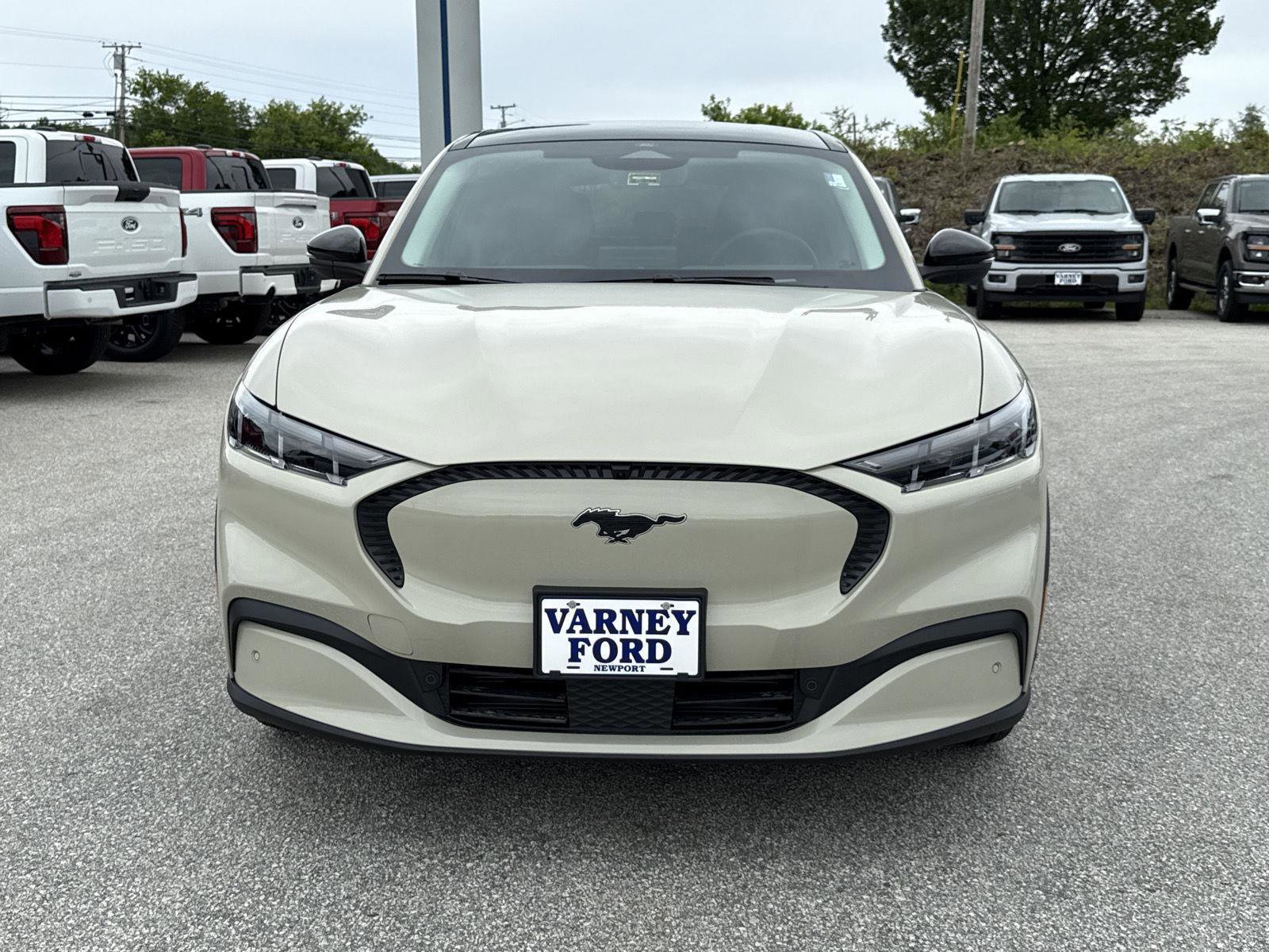 New 2025 Ford Mustang Mach-E Select w/ Comfort Package Lite image 3