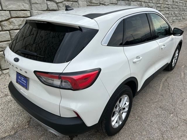 Used 2022 Ford Escape SE FWD image 5