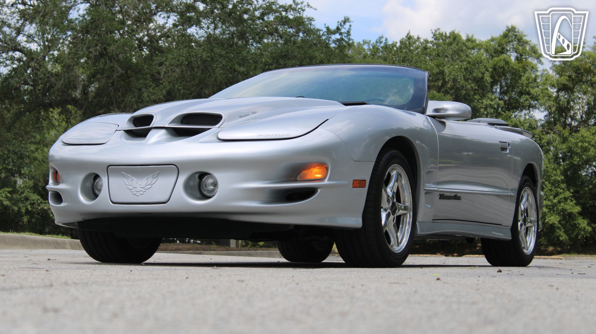 Used 1999 Pontiac Firebird Trans Am RWD image 2