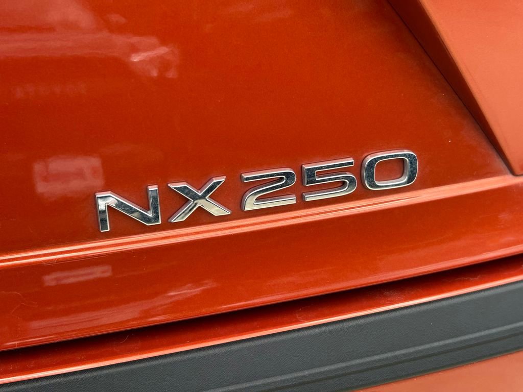 Used 2024 Lexus NX 250 FWD w/ Cold Area Package image 14
