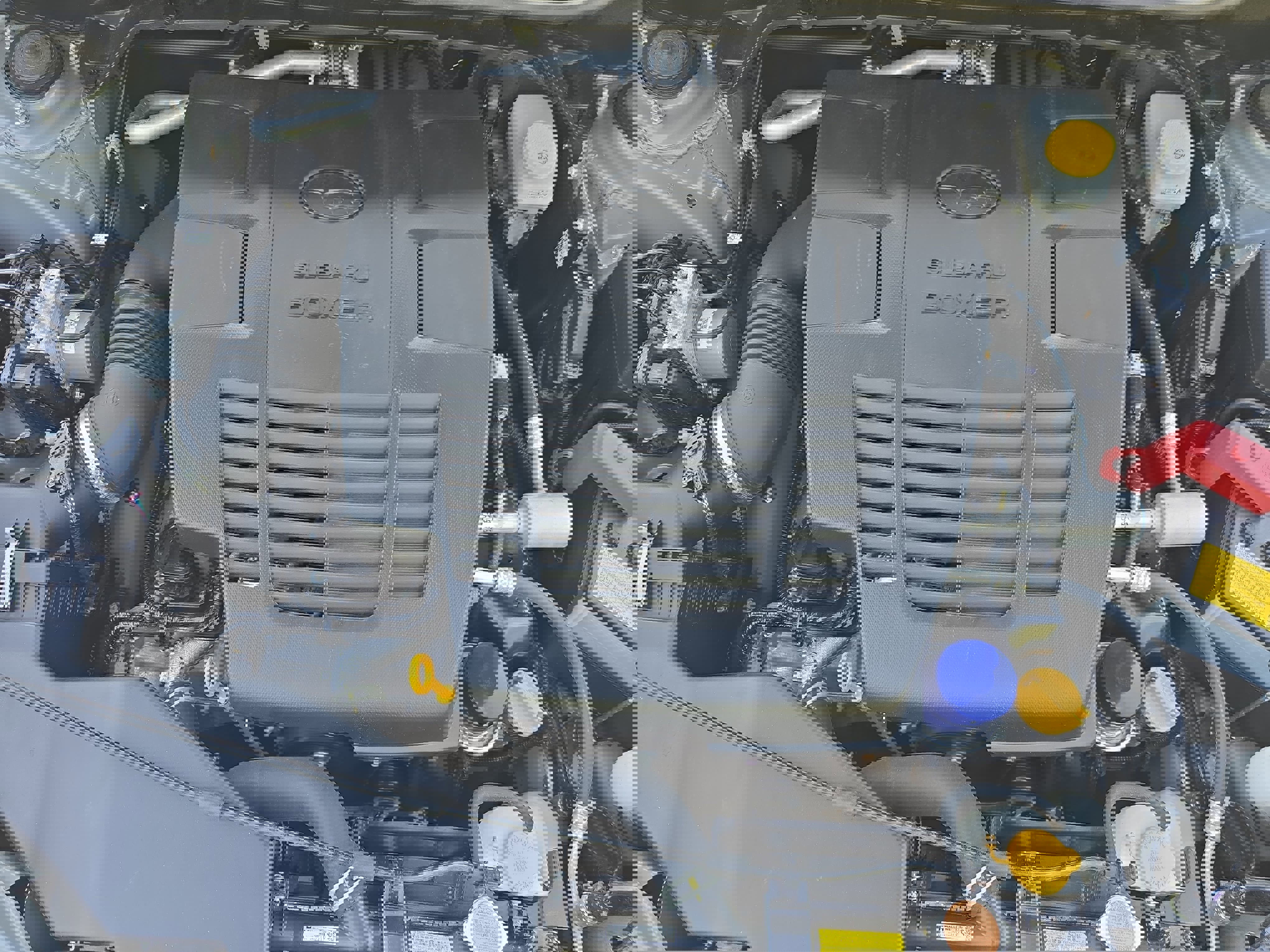 Used 2023 Subaru Forester Wilderness AWD/4WD image 28