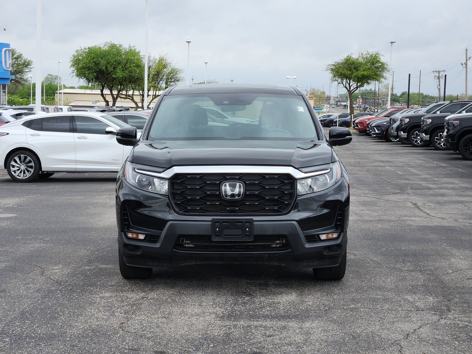 Used 2023 Honda Passport EX-L image 6