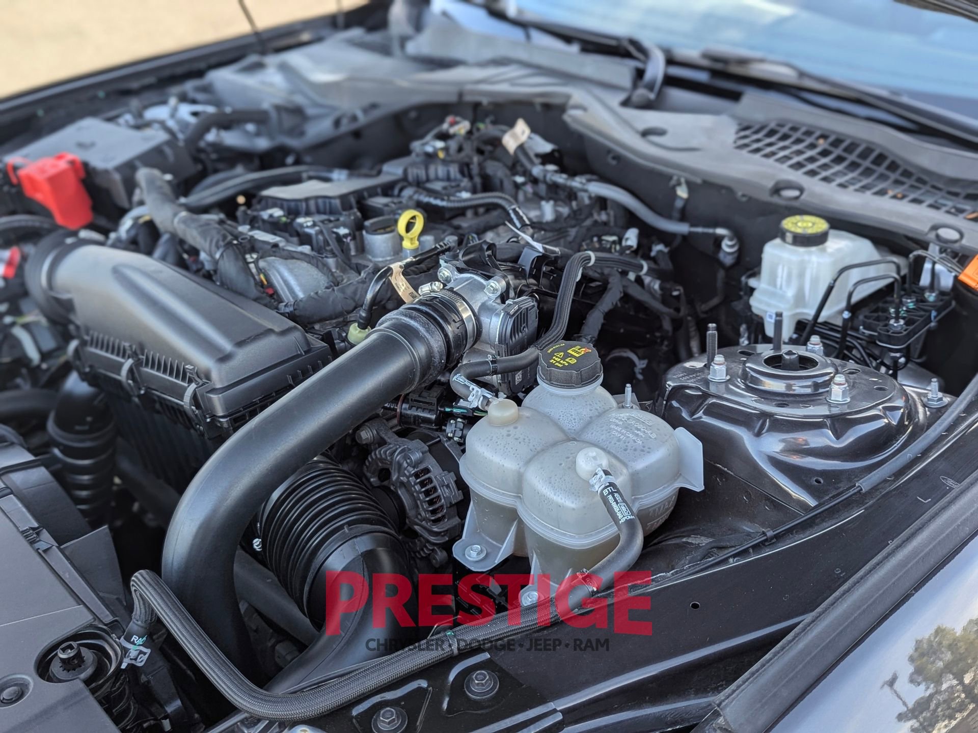 Used 2024 Ford Mustang EcoBoost image 31
