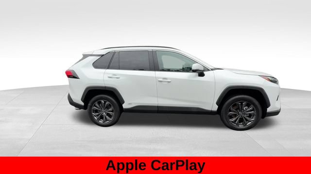 Used 2025 Toyota RAV4 XLE Premium w/ Weather Package AWD/4WD image 9