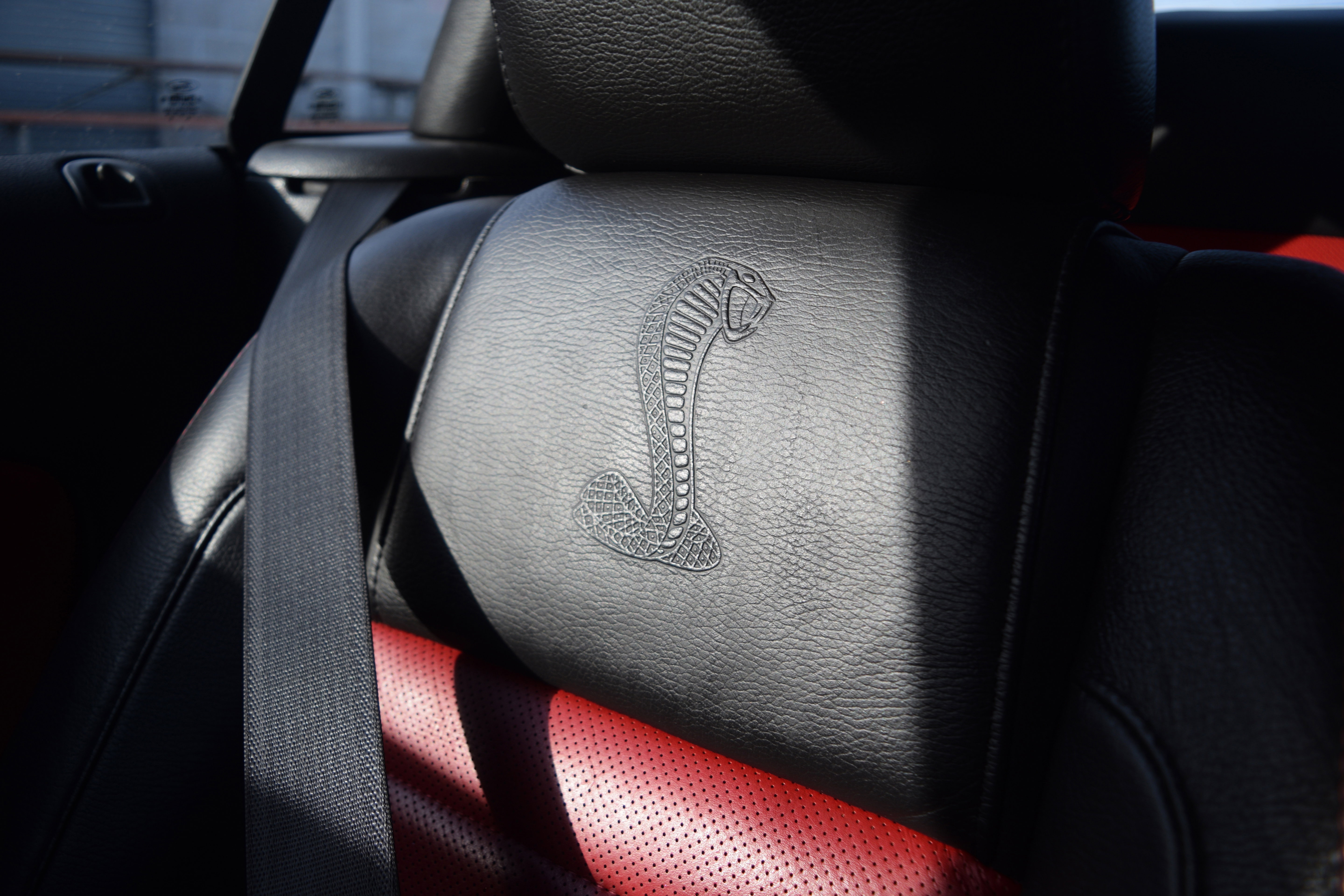 Used 2008 Ford Mustang Shelby GT500 image 17