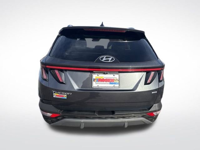 Certified 2023 Hyundai Tucson Limited image 4