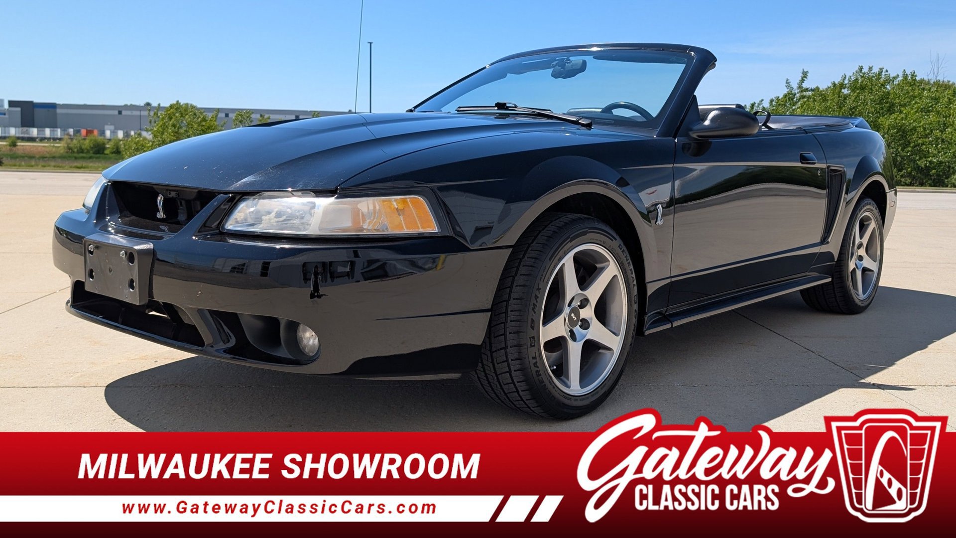Used 1999 Ford Mustang Cobra RWD image 1