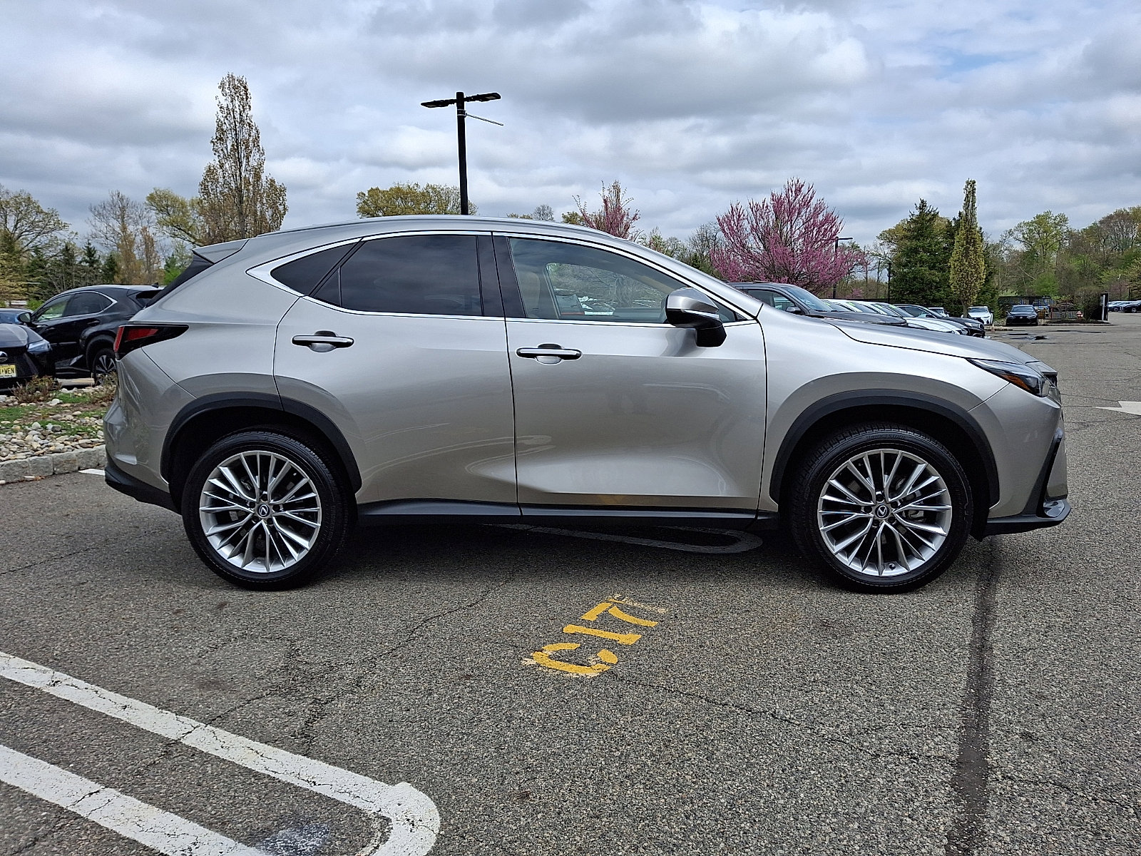 Used 2025 Lexus NX 350 AWD w/ Accessory Package (2T) image 7