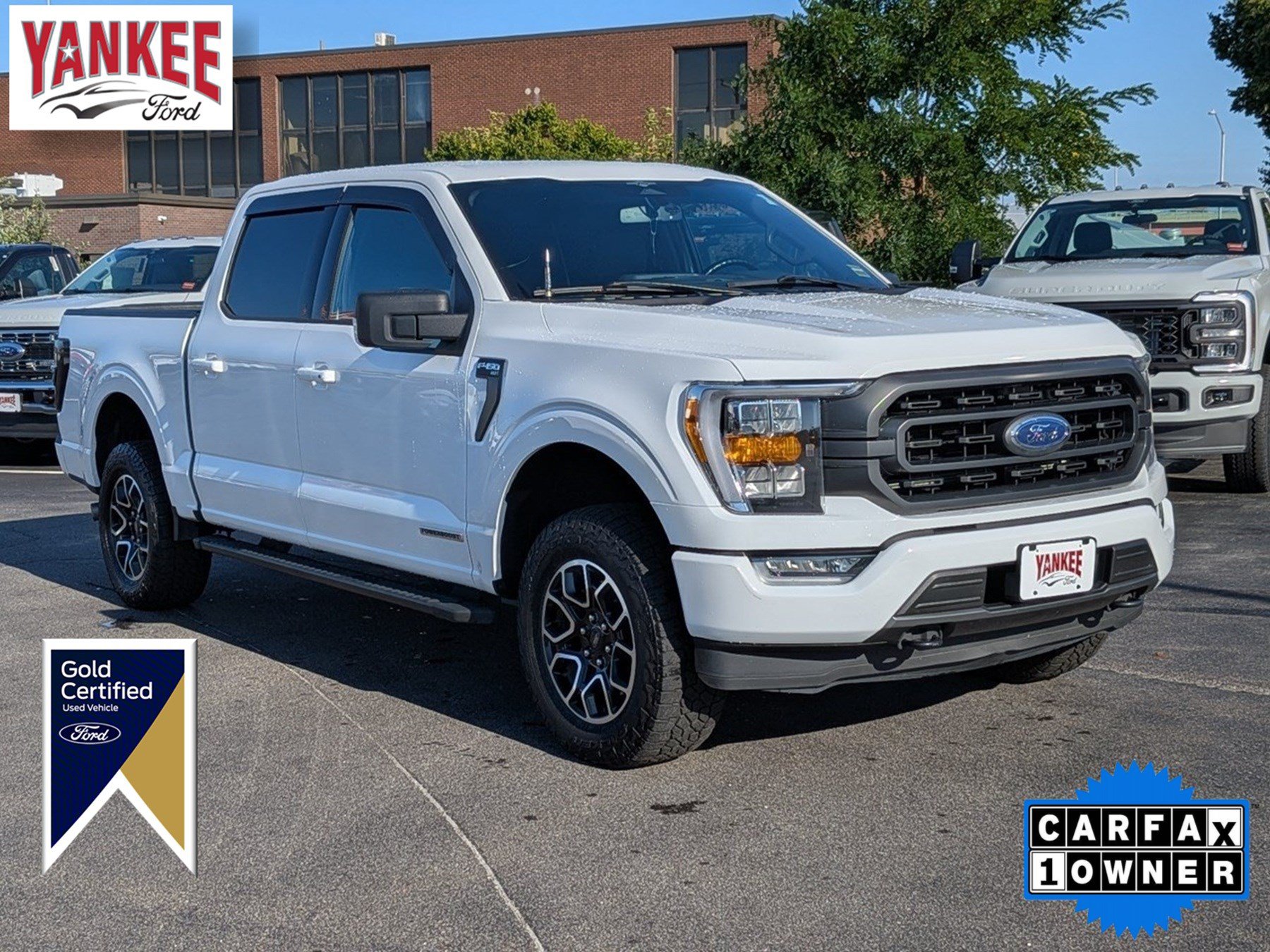 Used 2023 Ford F150 XLT w/ Equipment Group 302A High