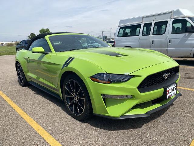 Certified 2020 Ford Mustang Premium w/ Equipment Group 201A RWD image 2