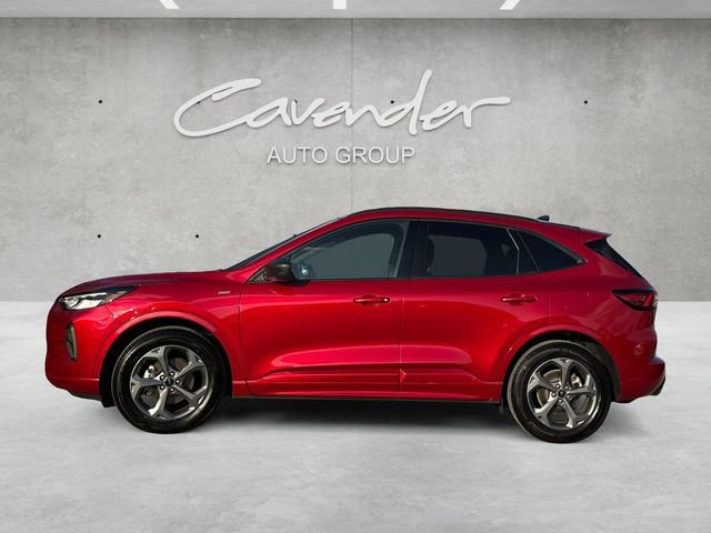 Used 2024 Ford Escape ST-Line image 4