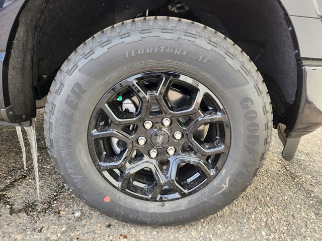 New 2026 Ford F150 XLT w/ Equipment Group 302A MID image 19