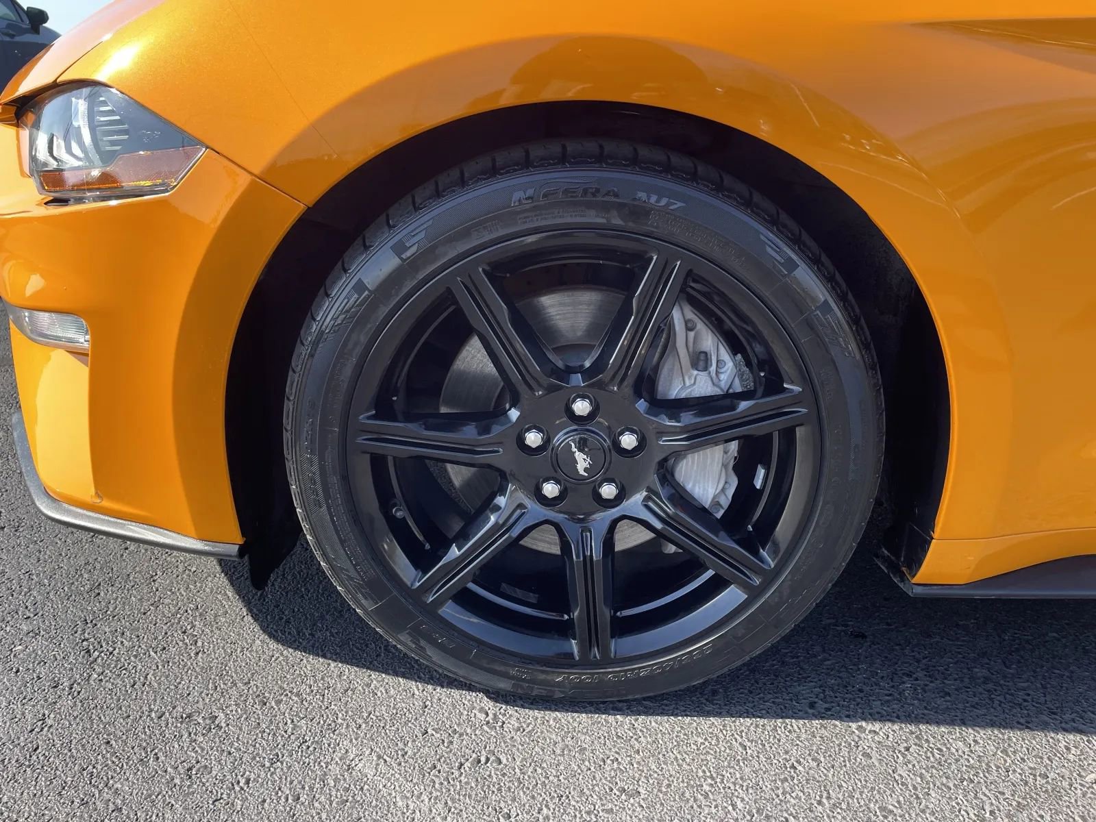 Used 2019 Ford Mustang GT w/ Equipment Group 301A image 9