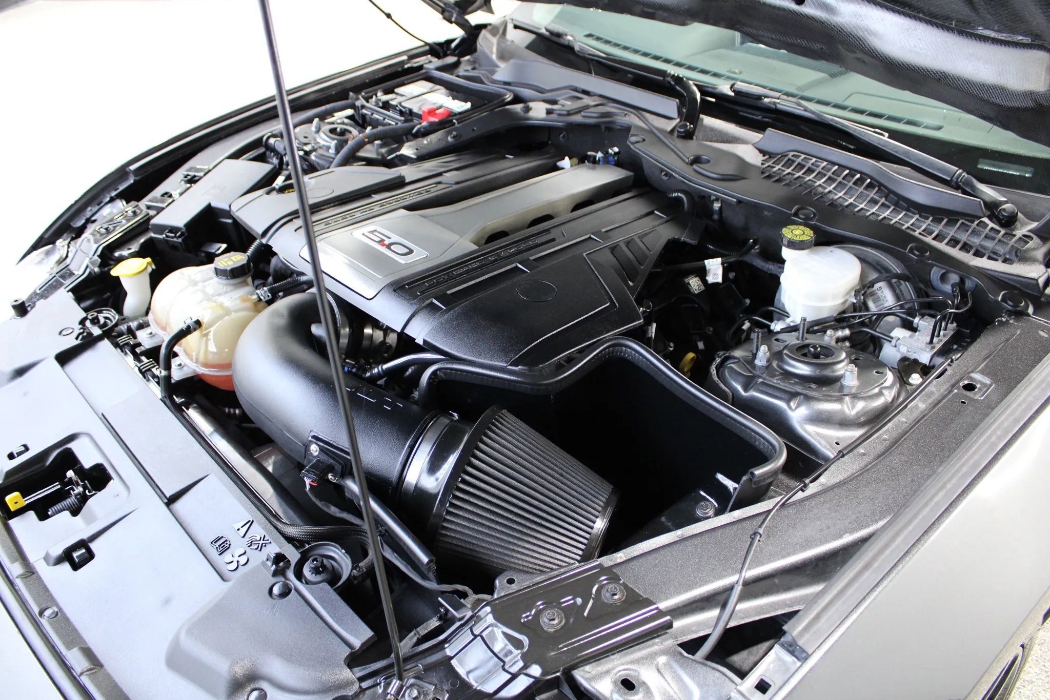 Used 2018 Ford Mustang GT Premium w/ Equipment Group 401A RWD image 12