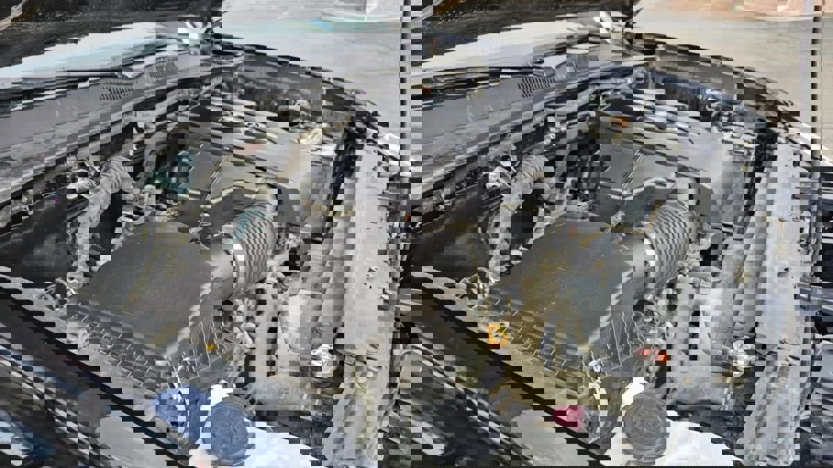 Used 2023 Toyota Tacoma TRD Sport image 24