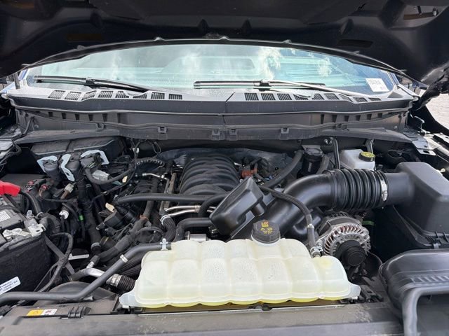 Used 2025 Ford F150 Tremor w/ Equipment Group 402A High AWD/4WD image 31
