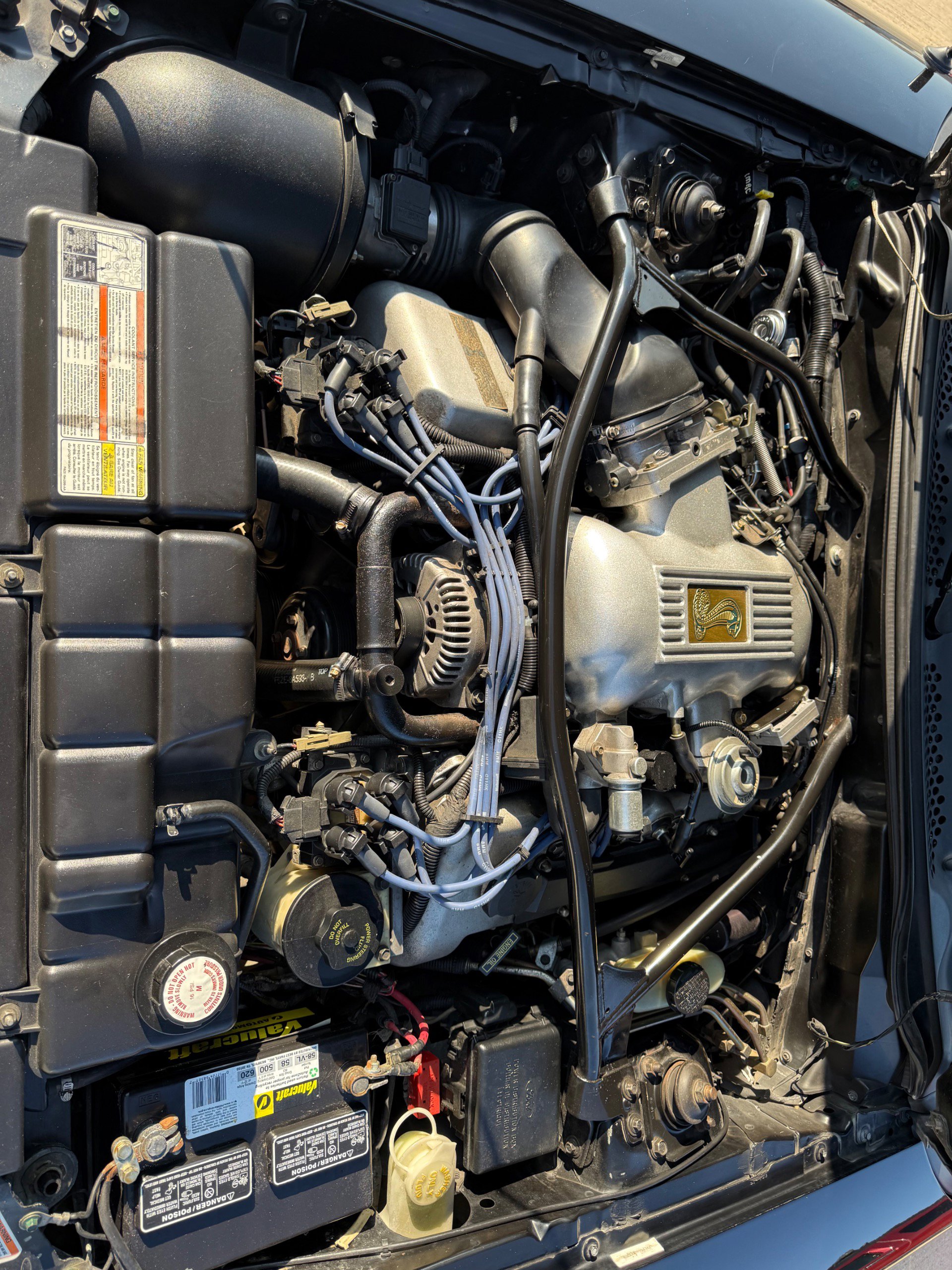 Used 1996 Ford Mustang Cobra image 20