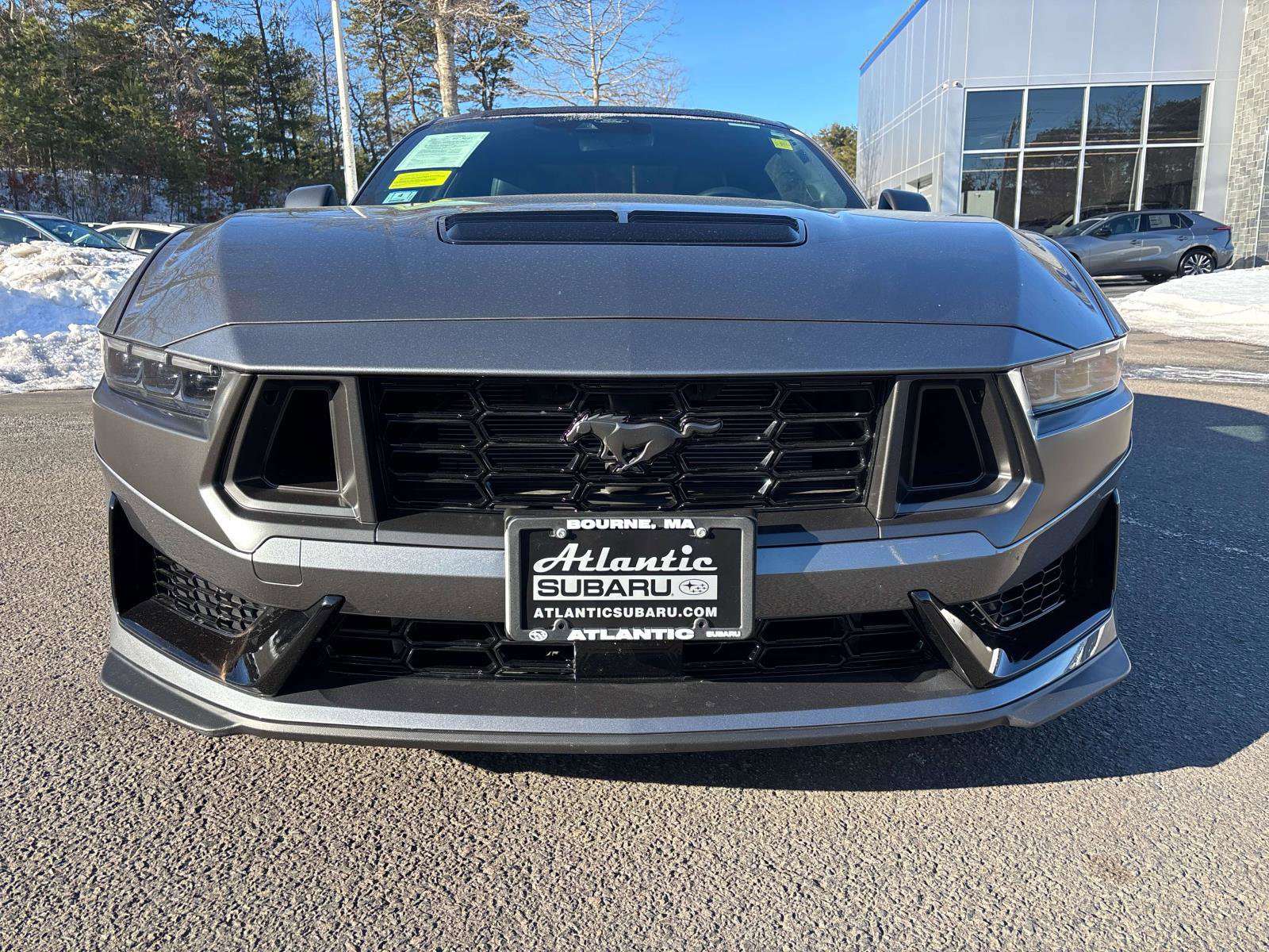 Used 2024 Ford Mustang Dark Horse image 3