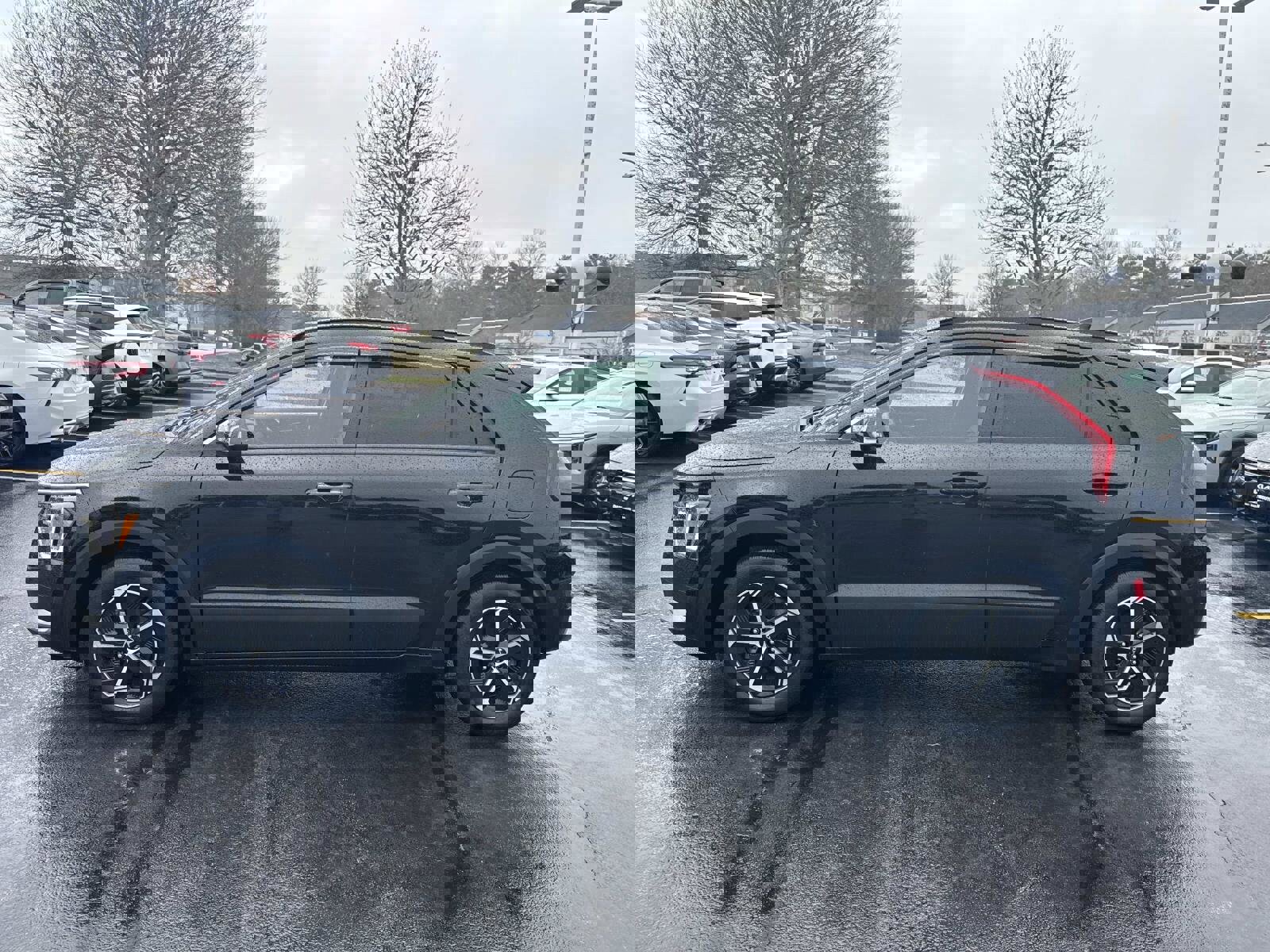 Used 2023 Kia Niro EX image 2