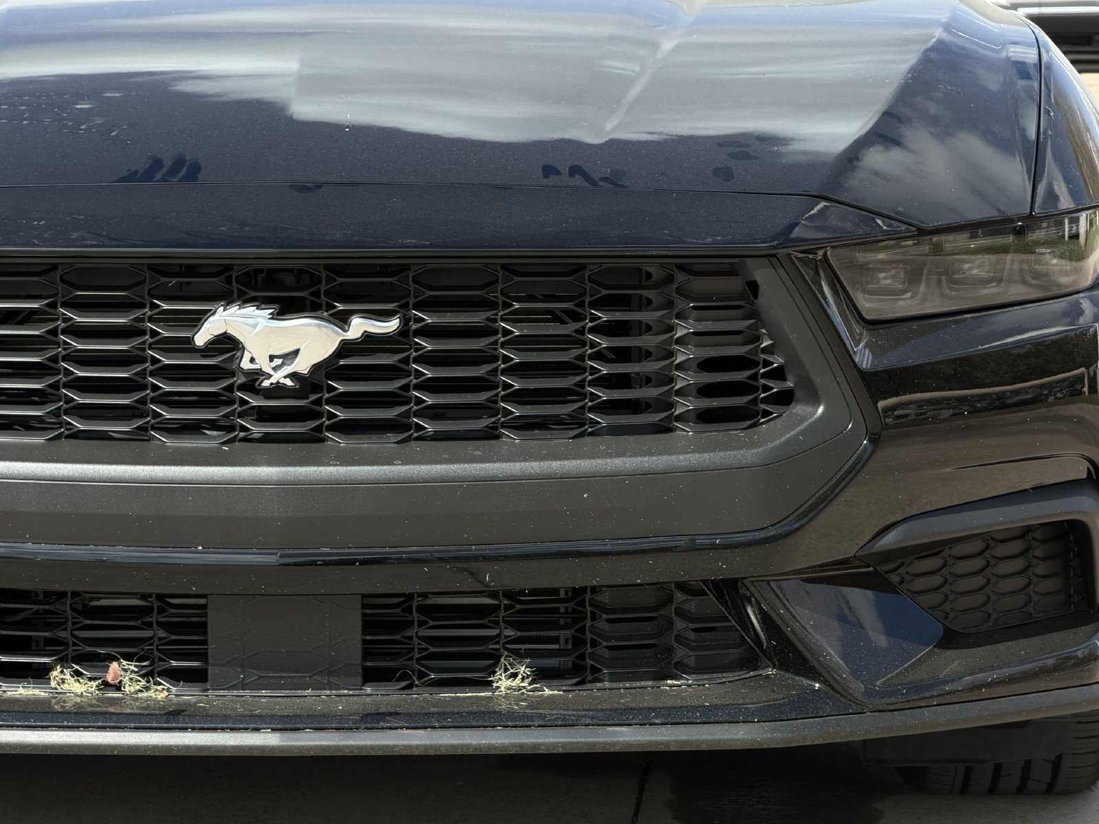 New 2026 Ford Mustang Coupe RWD image 7