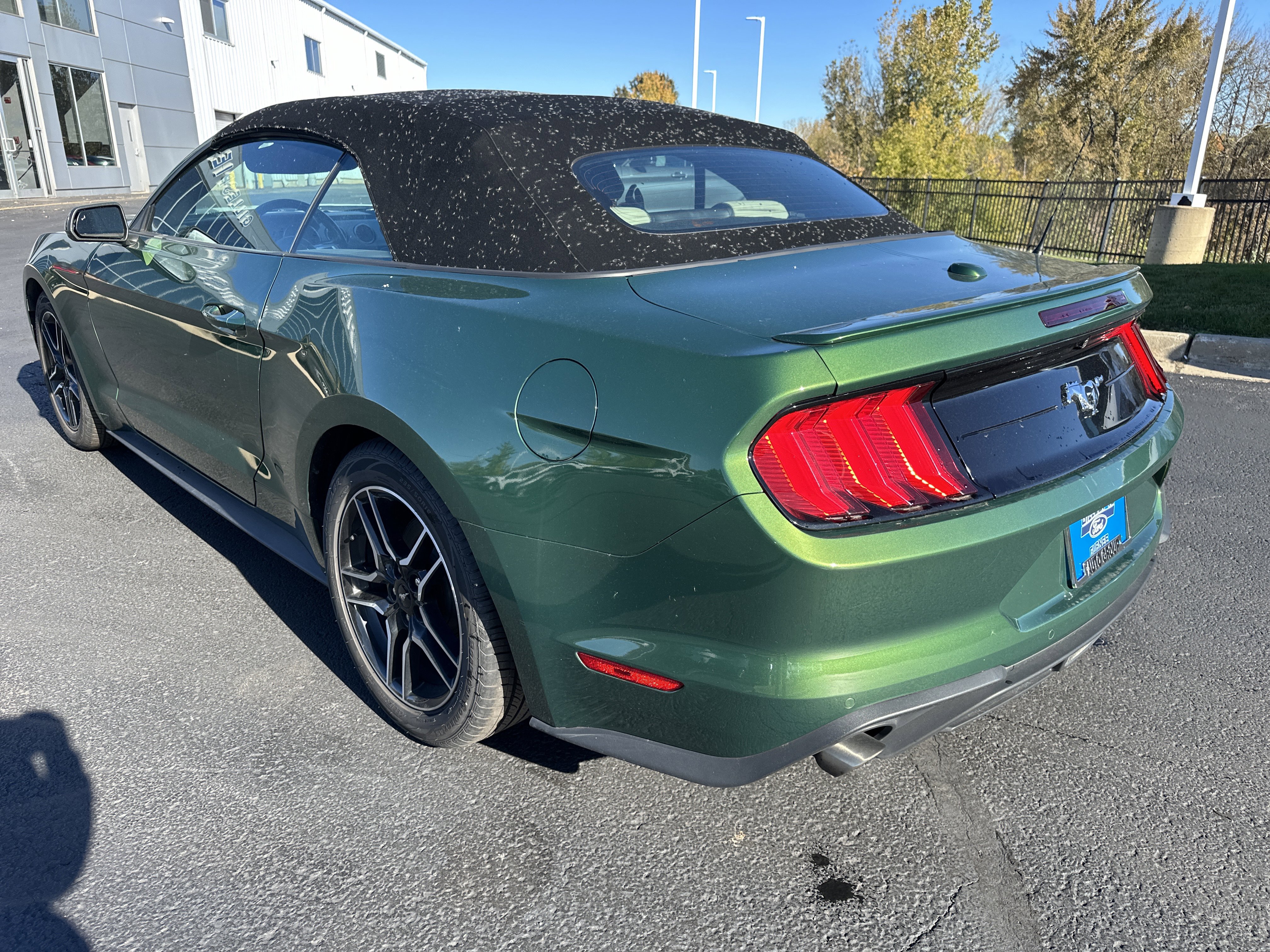 Certified 2023 Ford Mustang Premium image 6