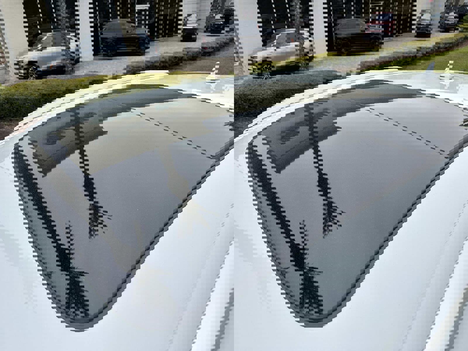 Used 2023 Audi Q8 Premium Plus image 11