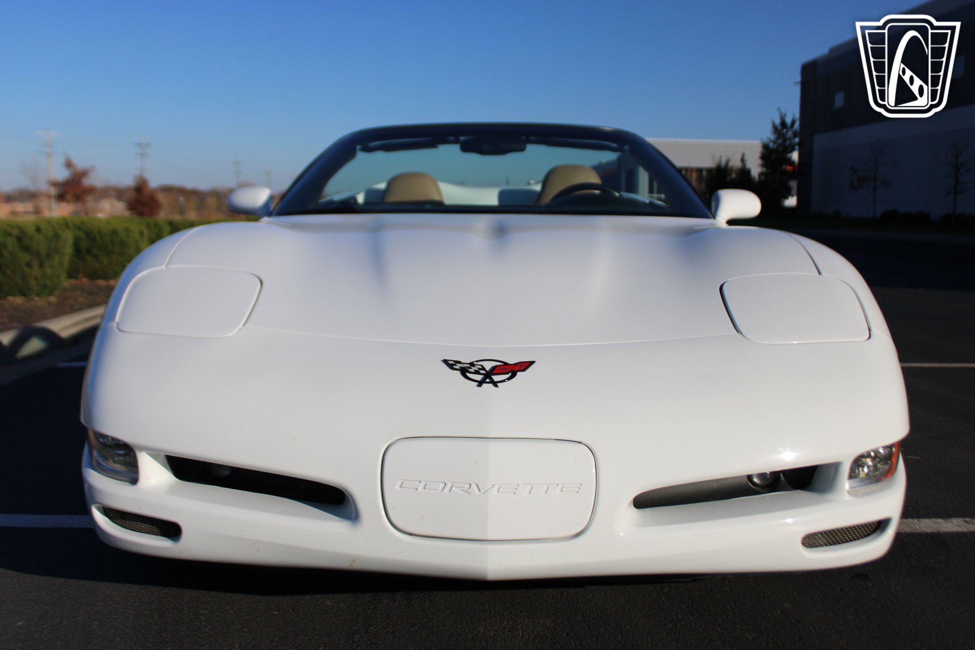 Used 1998 Chevrolet Corvette Convertible image 24