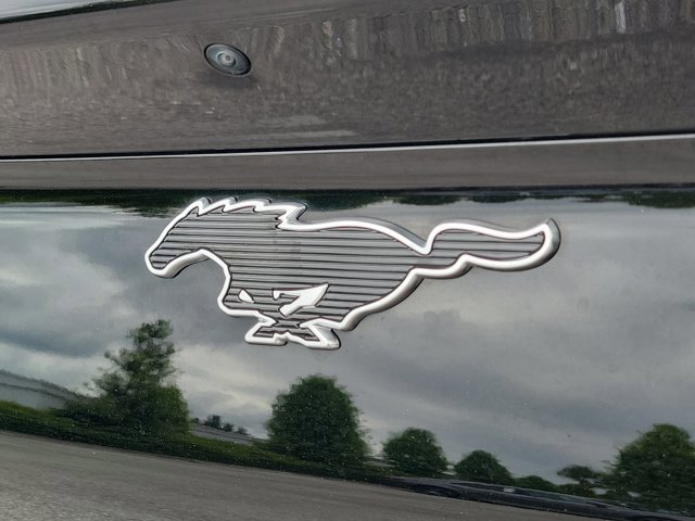 Certified 2025 Ford Mustang Mach-E Select RWD image 9