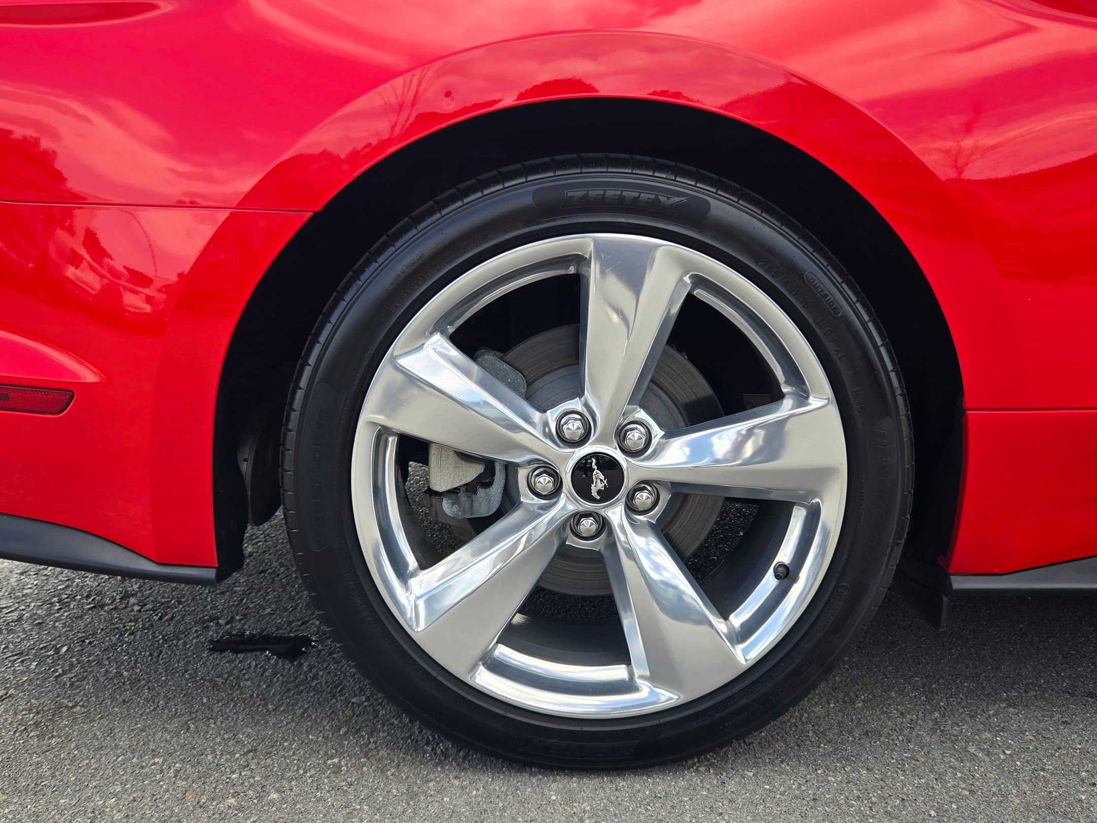 Used 2019 Ford Mustang Premium image 14