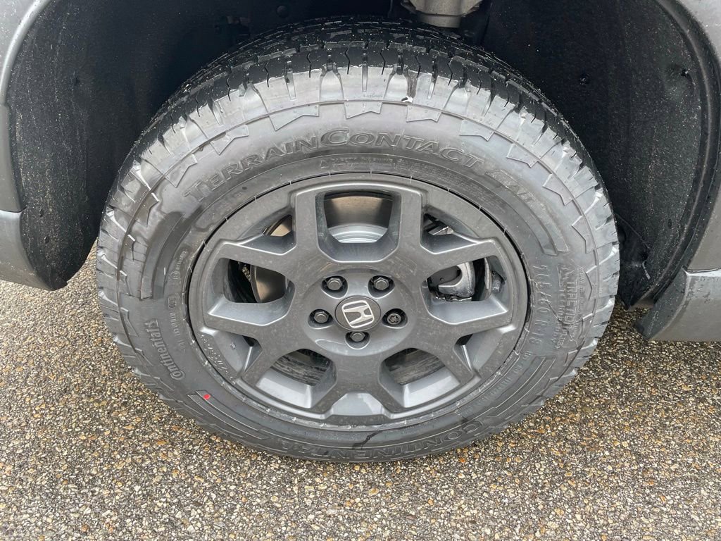 New 2026 Honda Pilot TrailSport image 4