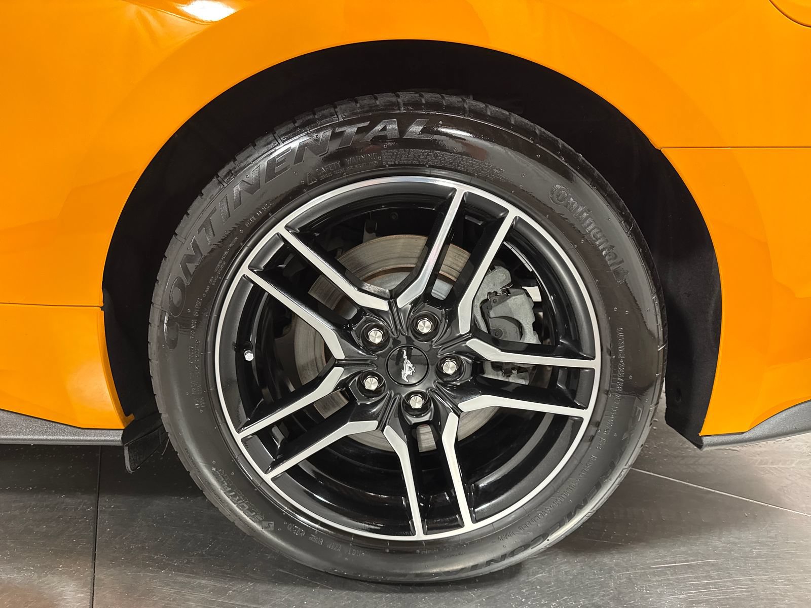 Used 2019 Ford Mustang GT RWD image 13